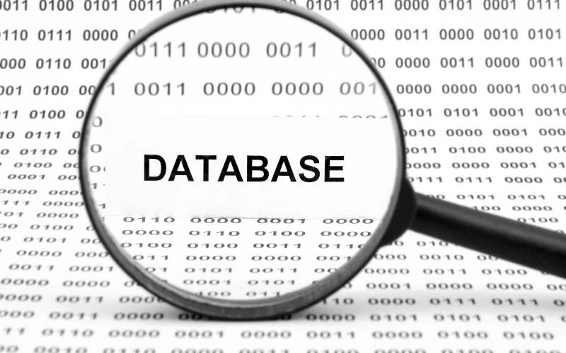 database-error-wordpress