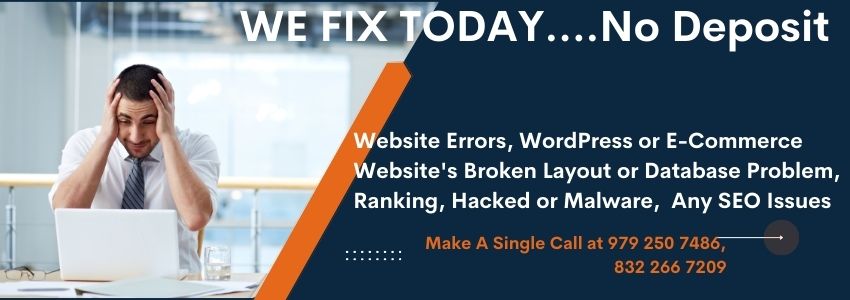Website Repair Service