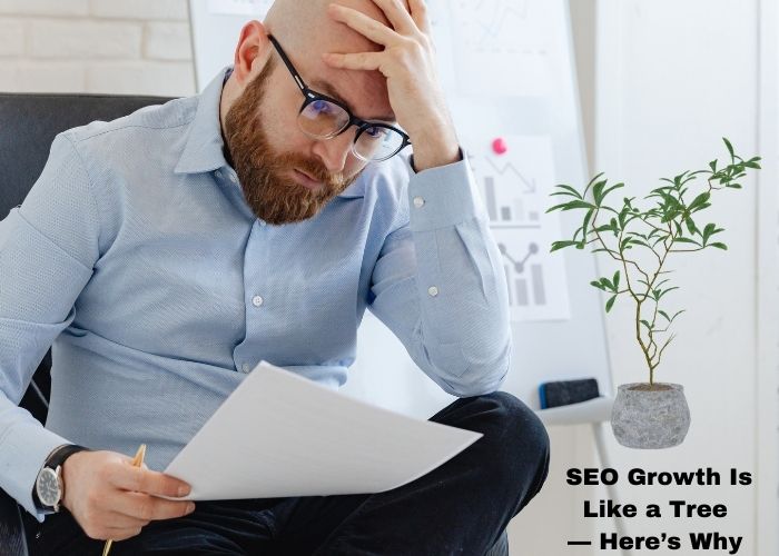 SEO Is Like Planting a Tree: Patience Brings Growth
